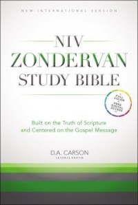 Niv Zondervan Study BIble