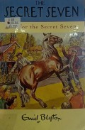 Secret Seven, The 15: Fun For The Secret Seven