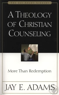 Theology of Christian Counseling, A : More Than Redemption
