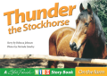 Thunder the Stockhorse