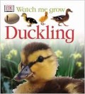 Watch Me Grow : Duckling