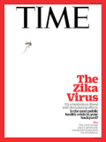 Zika Virus, The